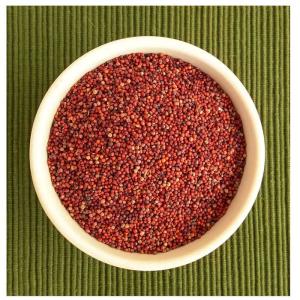 Finger Millet
